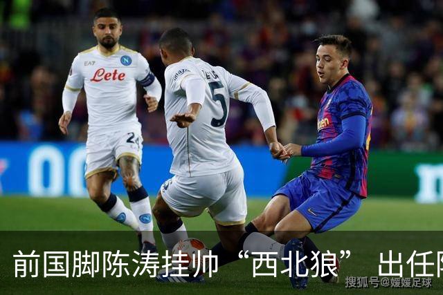 前国脚陈涛挂帅“西北狼” 出任陕西联合一线队主教练