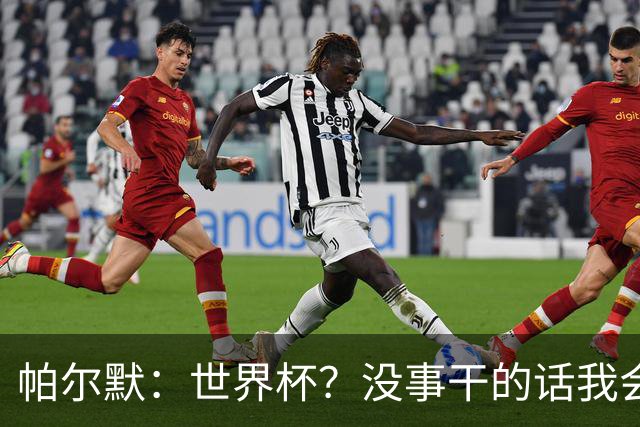帕尔默：世界杯？没事干的话我会看看，我希望他们能走到最后
