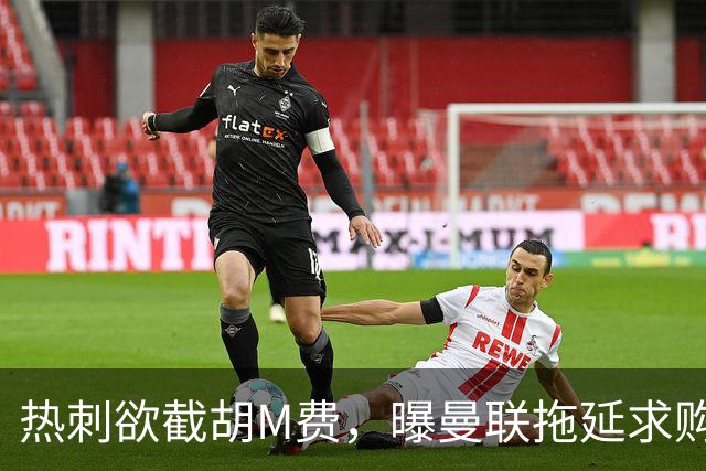 热刺欲截胡M费，曝曼联拖延求购原因！从皇马签楚阿梅尼暂无可能