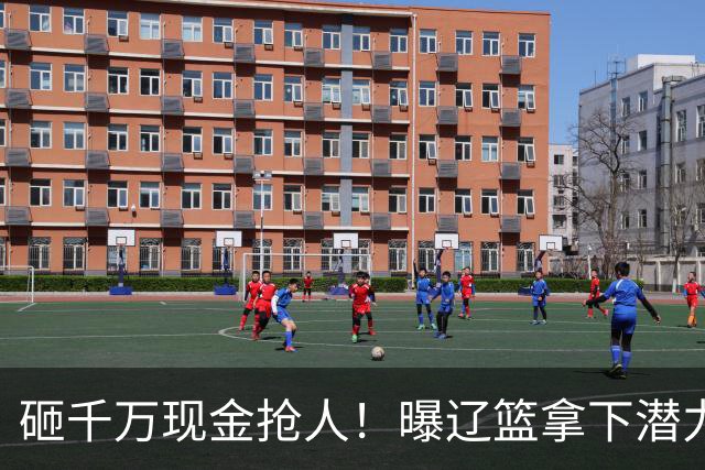 砸千万现金抢人！曝辽篮拿下潜力新星，4年B类合同，王岚钦怎么办