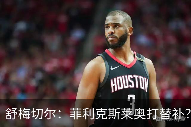舒梅切尔：菲利克斯莱奥打替补？马丁内斯毁了比利时又来毁葡萄牙