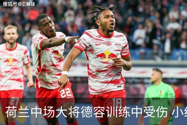 荷兰中场大将德容训练中受伤 小组赛次轮出战成疑