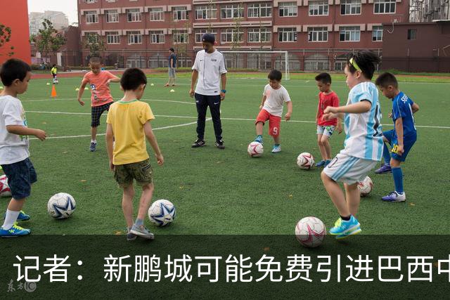 记者：新鹏城可能免费引进巴西中卫泽维尔，本科维奇会被放弃